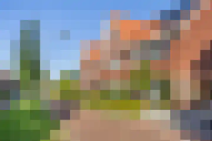 Drouwenerzand 5 Ede thumbnail 39