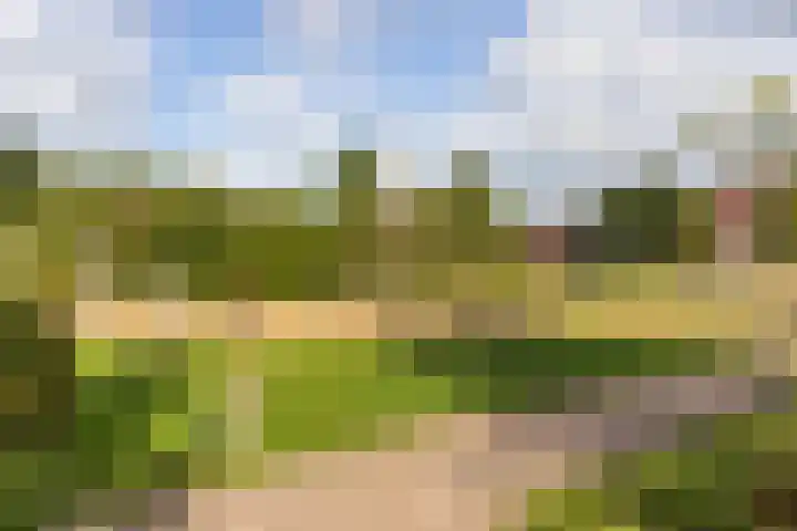 Drouwenerzand 5 Ede thumbnail 43