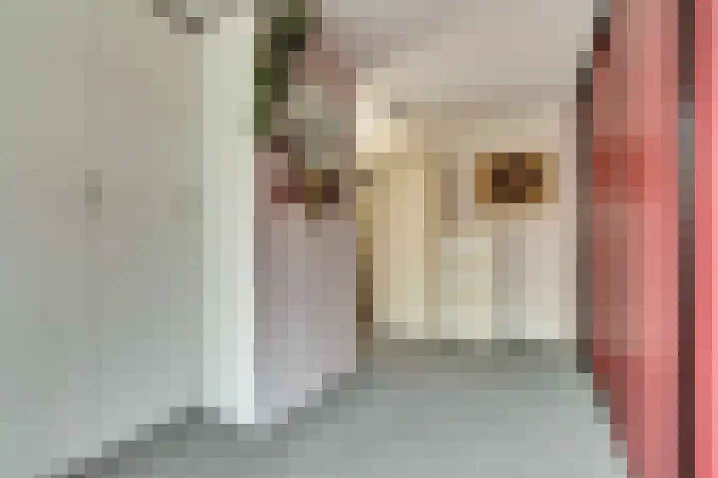Drouwenstraat 60 Den Haag thumbnail 16