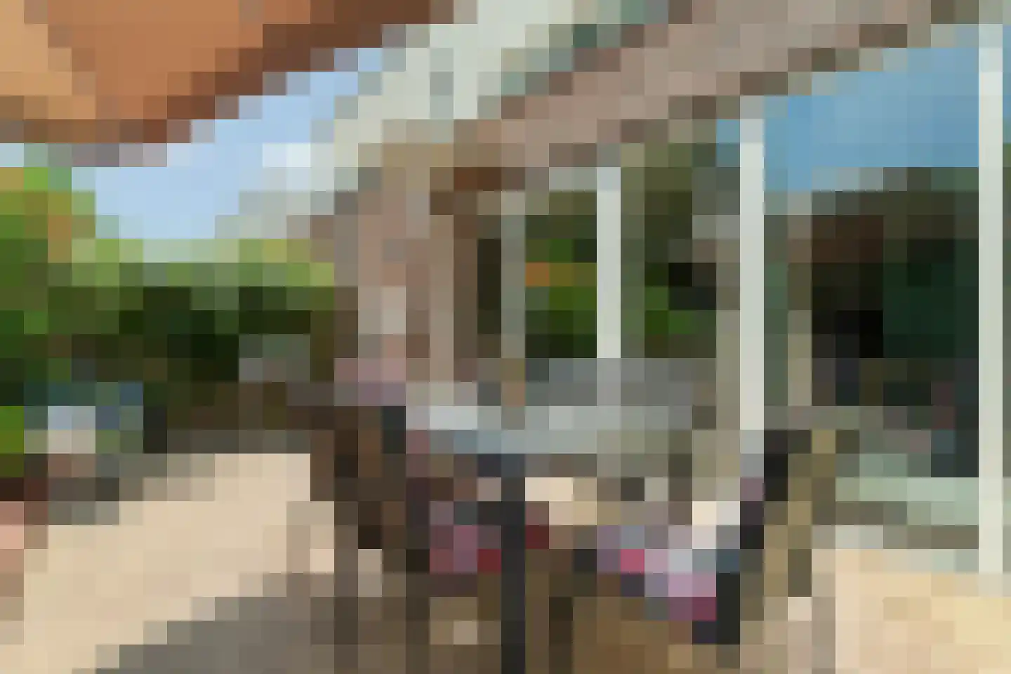 Drouwenstraat 72 Den Haag thumbnail 57