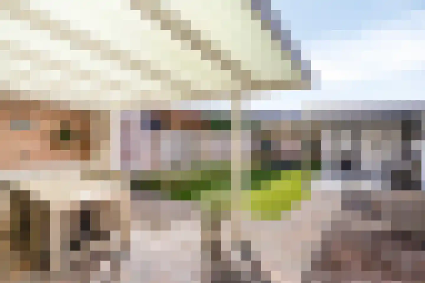 Drs. den Uyllaan 39 Helmond thumbnail 32
