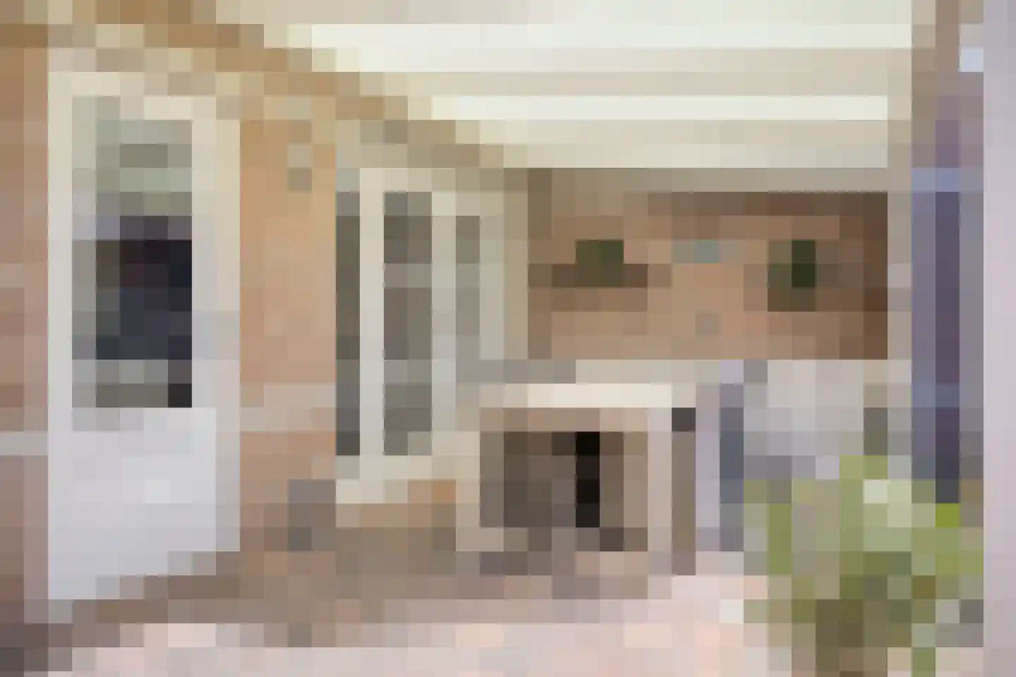 Drs. den Uyllaan 39 Helmond thumbnail 33