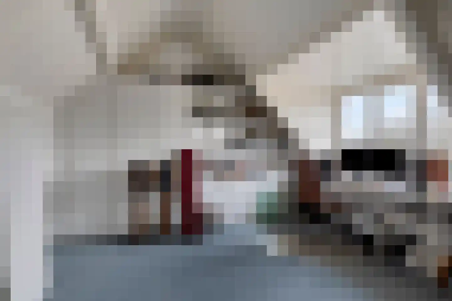 Drs. Hein Mandosplaats 4 Waalre thumbnail 30