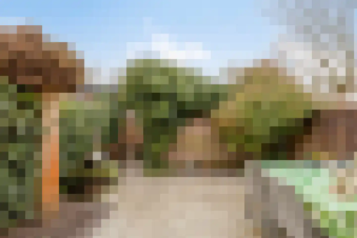 Drs. Hein Mandosplaats 4 Waalre thumbnail 32