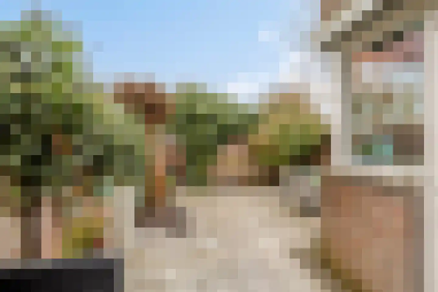 Drs. Hein Mandosplaats 4 Waalre thumbnail 35