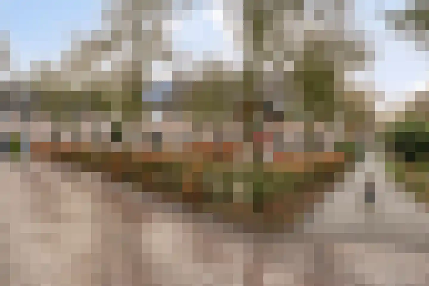 Drs. Hein Mandosplaats 4 Waalre thumbnail 36