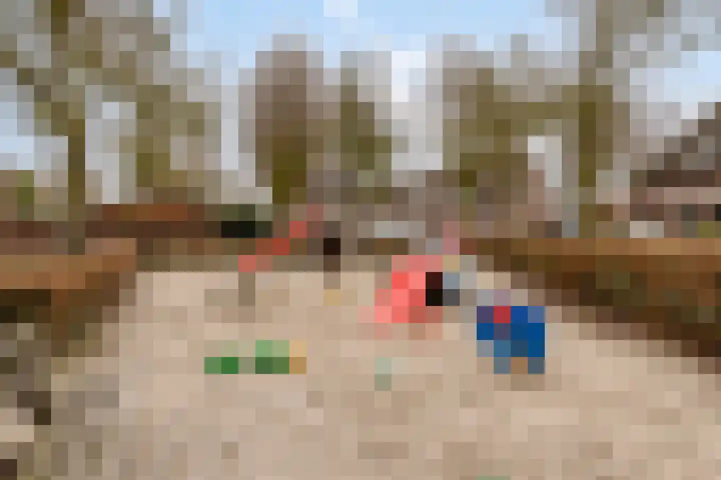 Drs. Hein Mandosplaats 4 Waalre thumbnail 37
