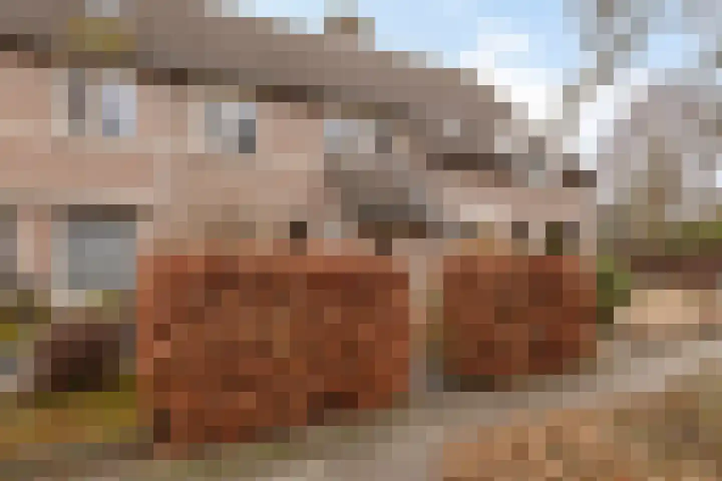 Drs. Hein Mandosplaats 4 Waalre thumbnail 42