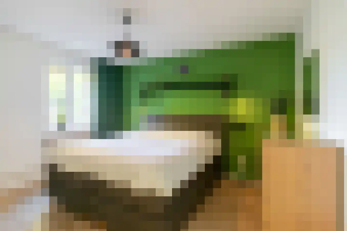 Drs. Hein Mandosplaats 7 Waalre thumbnail 17