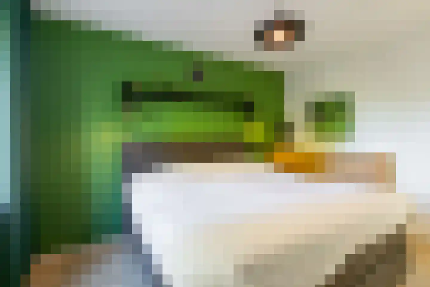 Drs. Hein Mandosplaats 7 Waalre thumbnail 18