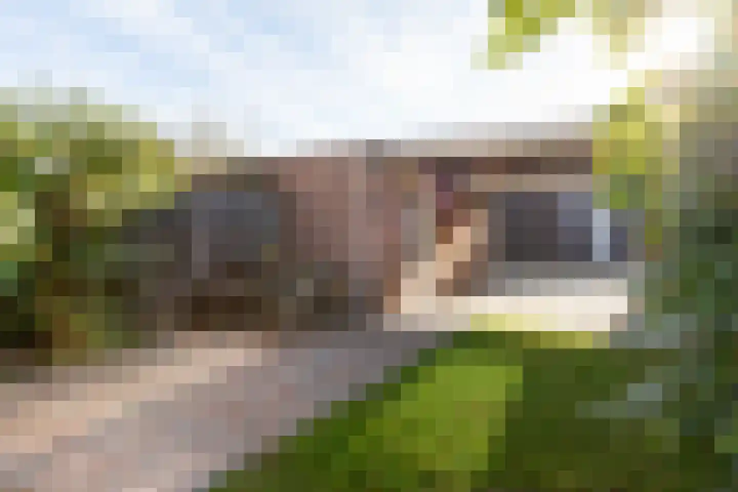 Drs. Hein Mandosplaats 7 Waalre thumbnail 31