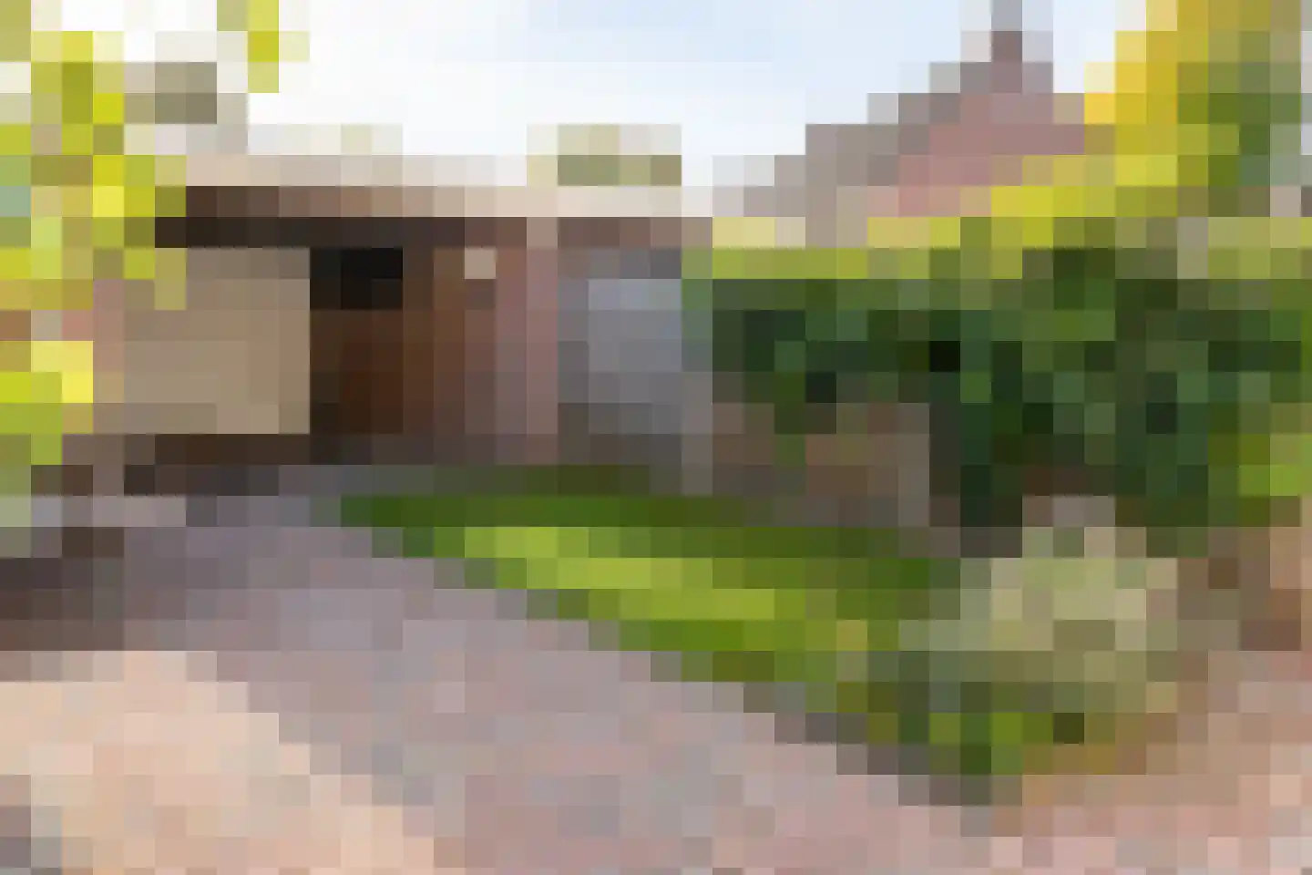 Drs. Hein Mandosplaats 7 Waalre thumbnail 33