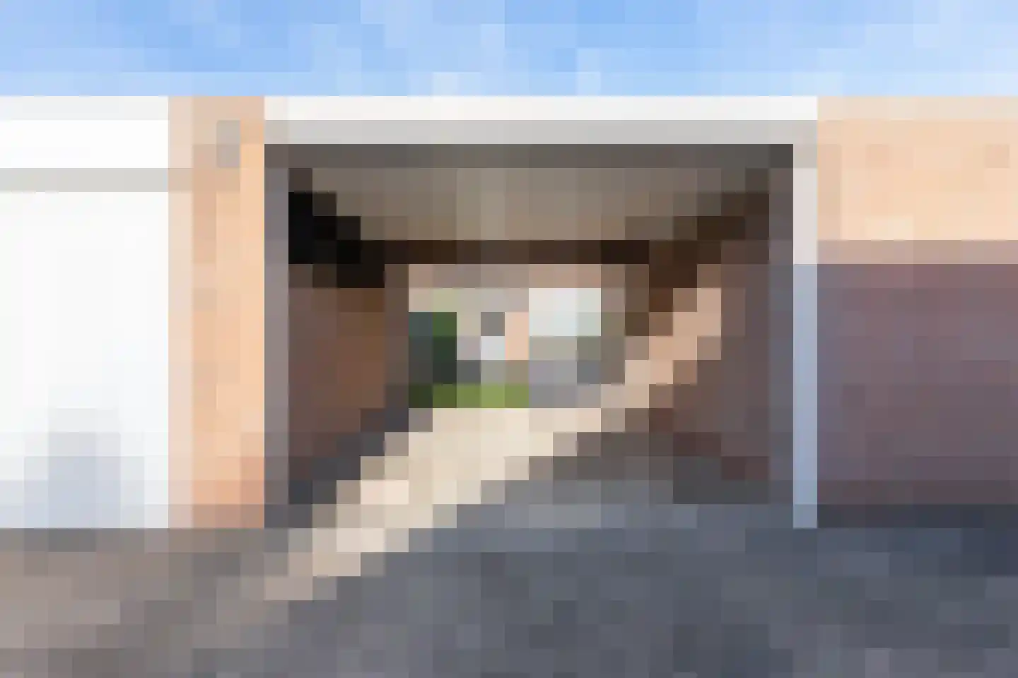 Drs. Hein Mandosplaats 7 Waalre thumbnail 36