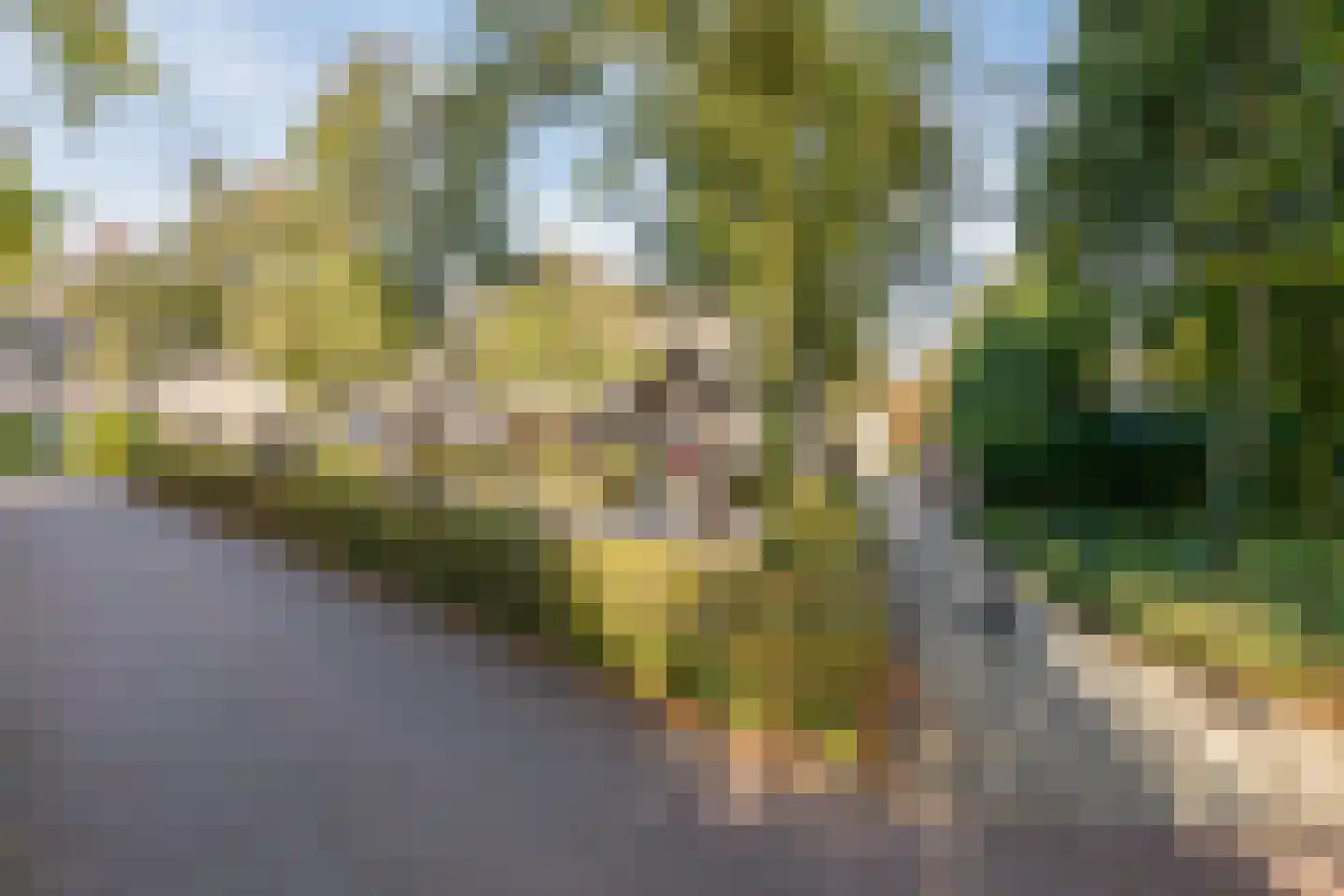 Drs. Hein Mandosplaats 7 Waalre thumbnail 37