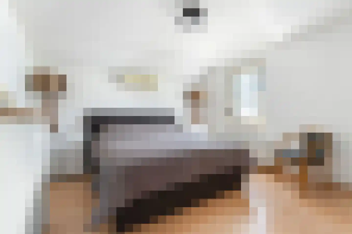 Drs J. Lebensstraat 16 Roosteren thumbnail 20