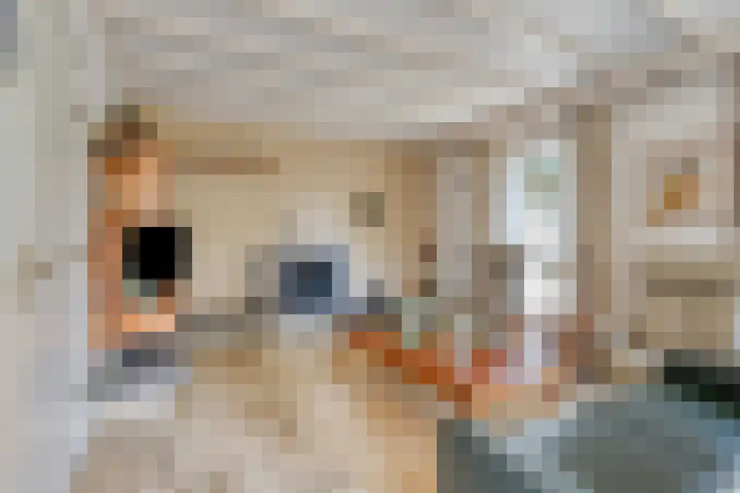 Drs J. Lebensstraat 22 Roosteren thumbnail 12