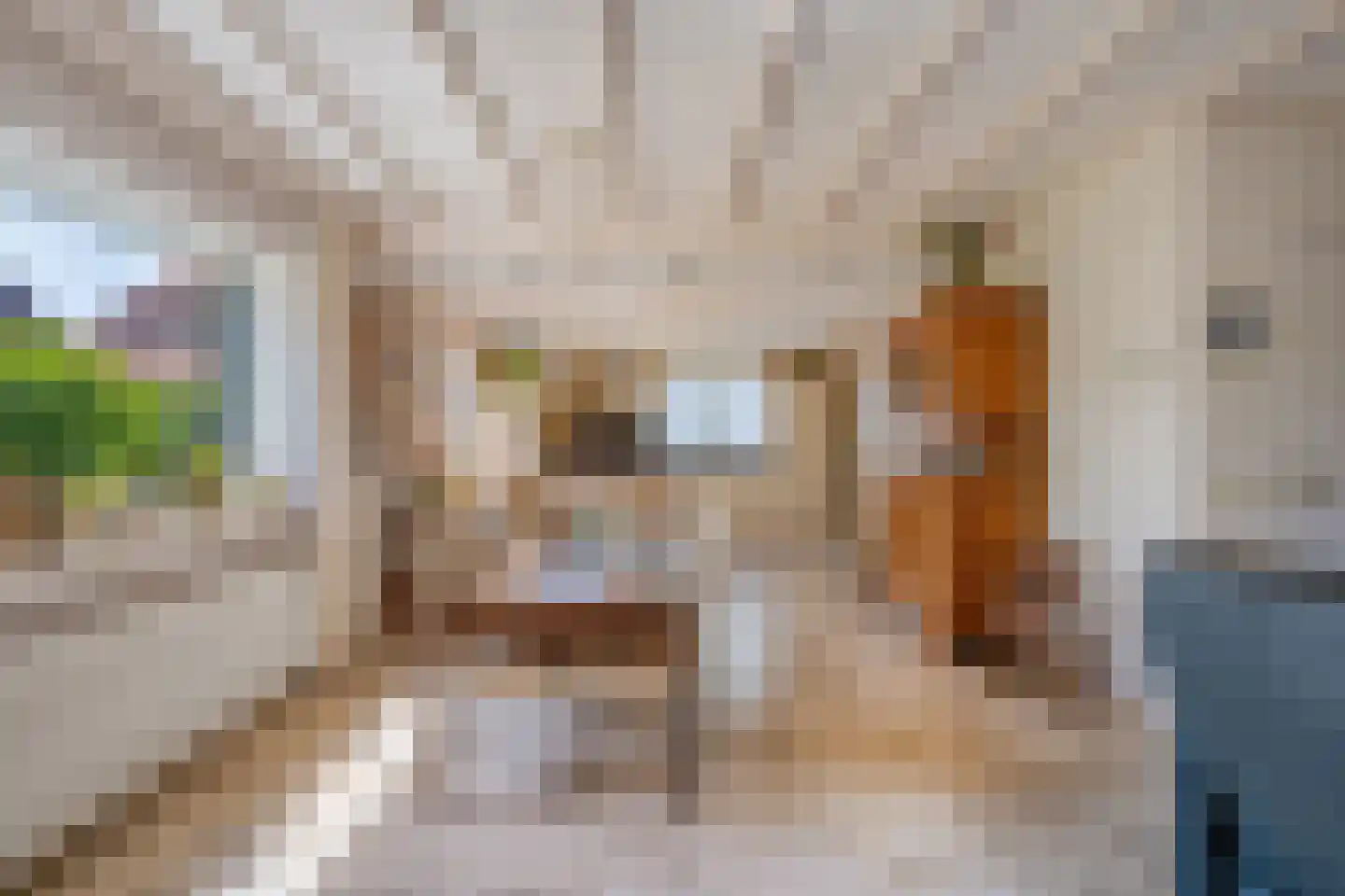 Drs J. Lebensstraat 22 Roosteren thumbnail 18