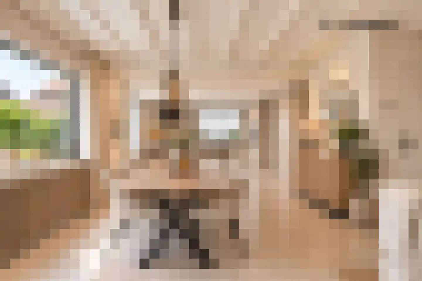 Drs J. Lebensstraat 22 Roosteren thumbnail 20