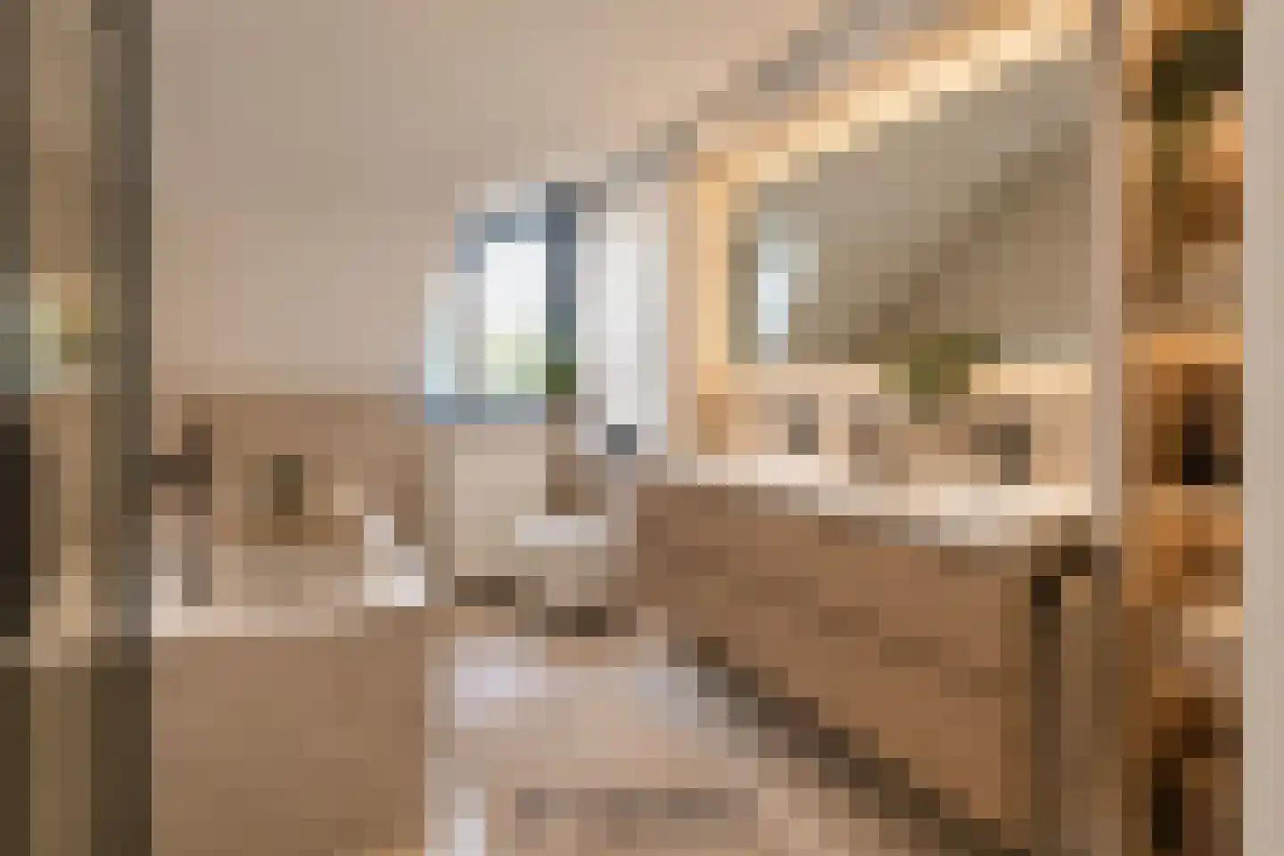 Drs J. Lebensstraat 22 Roosteren thumbnail 39