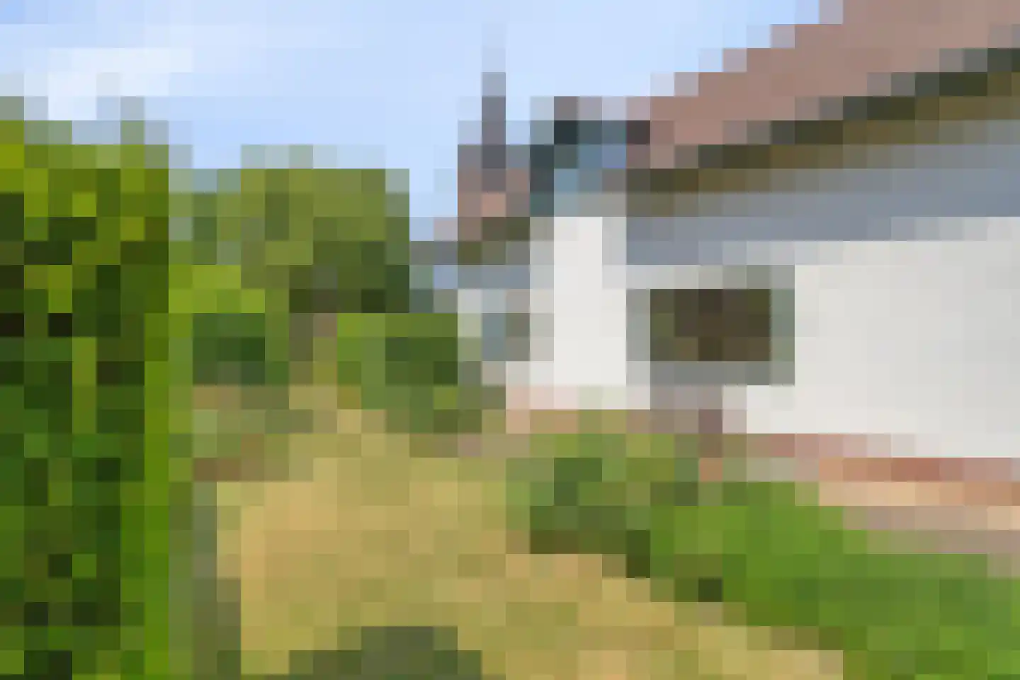 Drs J. Lebensstraat 22 Roosteren thumbnail 61
