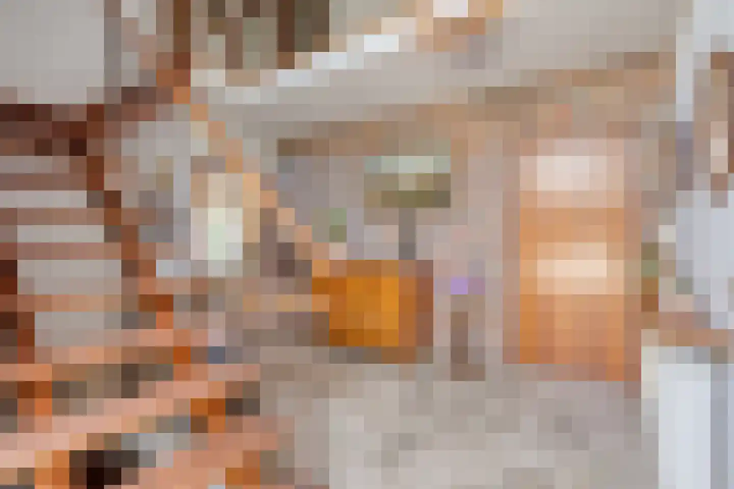 Drs J. Lebensstraat 22 Roosteren thumbnail 9