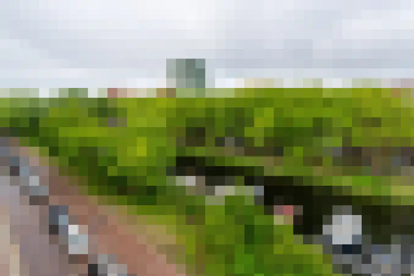 Drs. P-kade 2 Rotterdam thumbnail 31