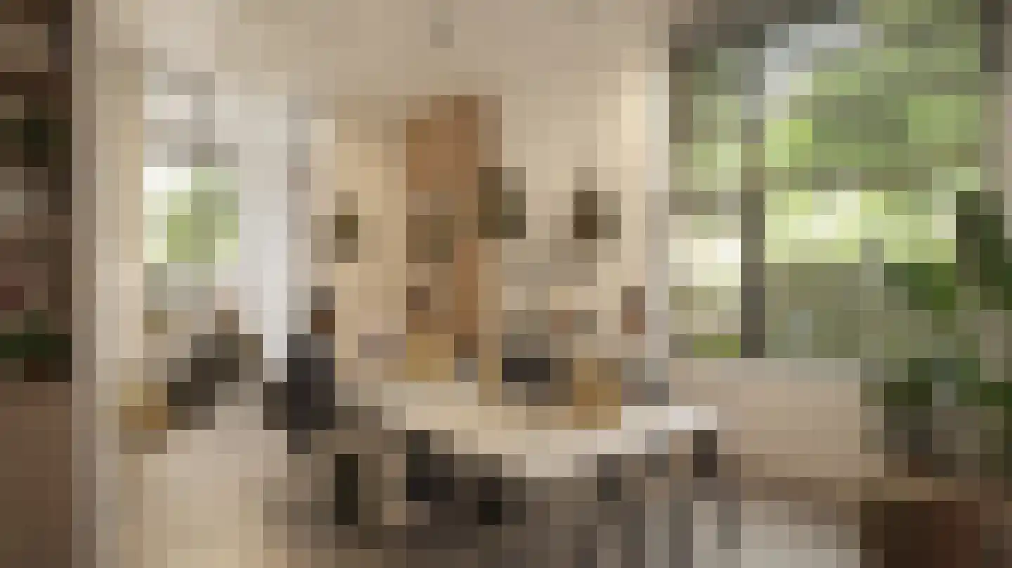 Drs. P-kade 2 Rotterdam thumbnail 8