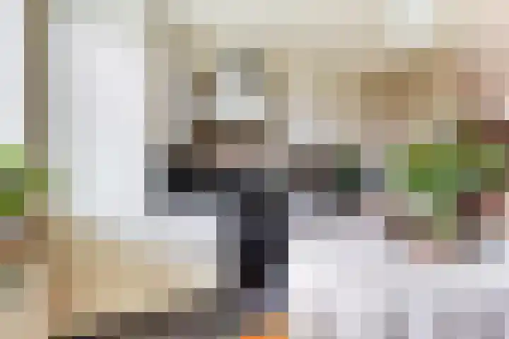 drs. S. van Tuinenleane 28 Dokkum thumbnail 22