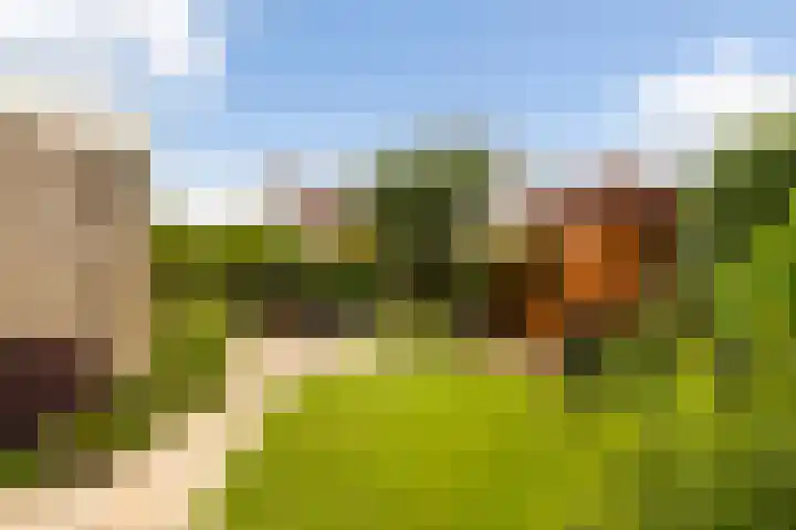 drs. S. van Tuinenleane 28 Dokkum thumbnail 26