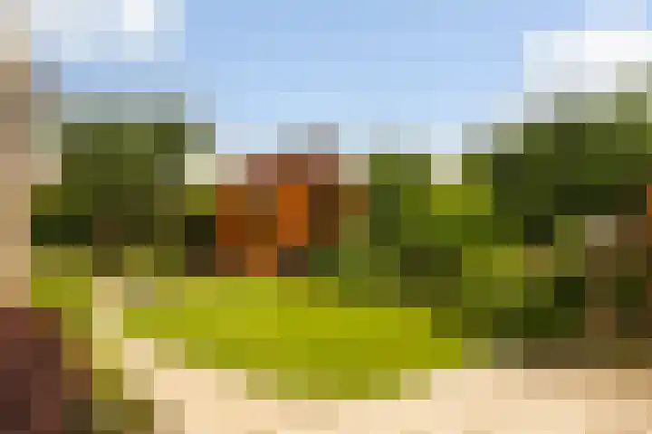 drs. S. van Tuinenleane 28 Dokkum thumbnail 27