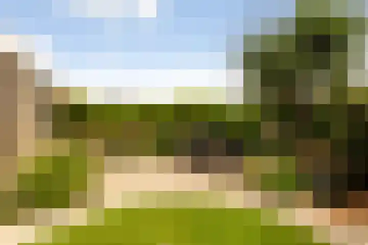 drs. S. van Tuinenleane 28 Dokkum thumbnail 28