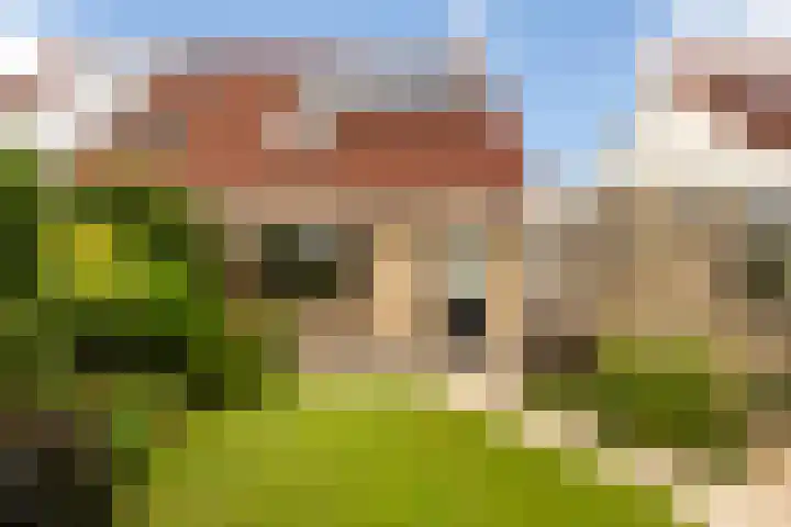 drs. S. van Tuinenleane 28 Dokkum thumbnail 29