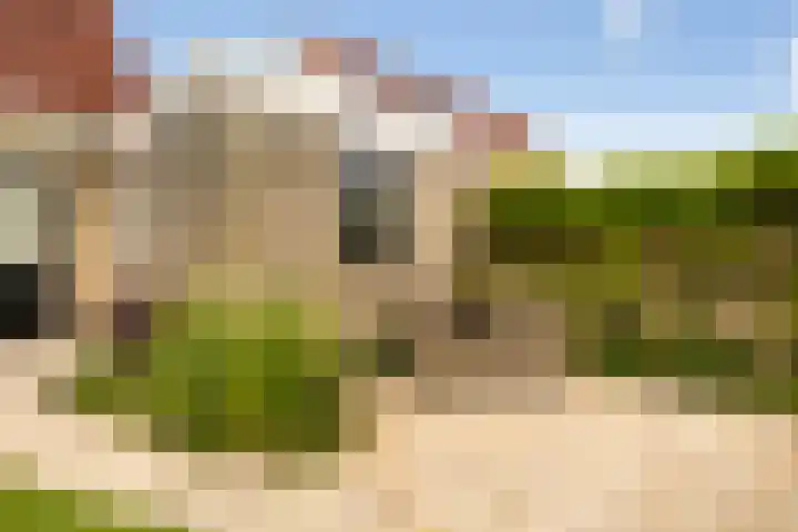 drs. S. van Tuinenleane 28 Dokkum thumbnail 30