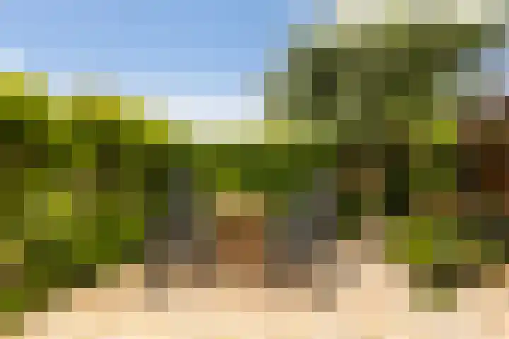 drs. S. van Tuinenleane 28 Dokkum thumbnail 31