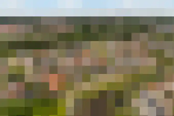 drs. S. van Tuinenleane 28 Dokkum thumbnail 4