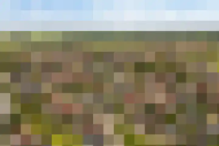 drs. S. van Tuinenleane 28 Dokkum thumbnail 49