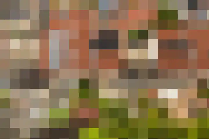 drs. S. van Tuinenleane 28 Dokkum thumbnail 6