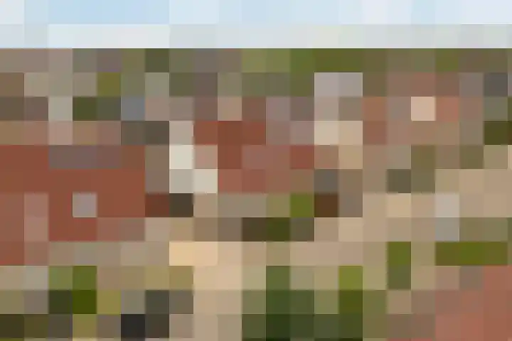 drs. S. van Tuinenleane 28 Dokkum thumbnail 61