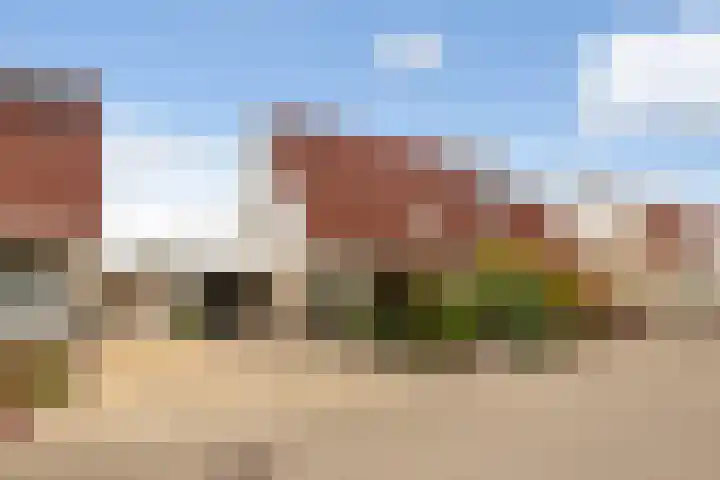 drs. S. van Tuinenleane 28 Dokkum thumbnail 9