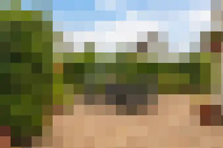 drs. S. van Tuinenleane 30 Dokkum thumbnail 27