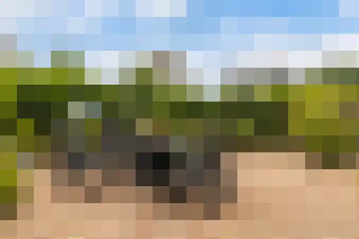 drs. S. van Tuinenleane 30 Dokkum thumbnail 29