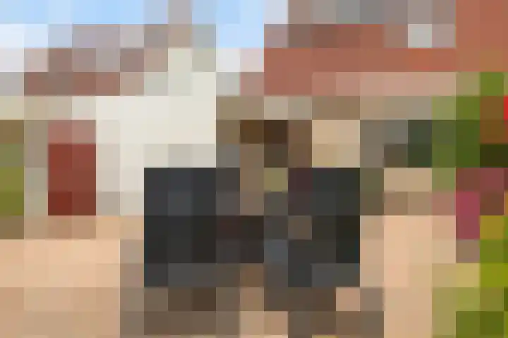 drs. S. van Tuinenleane 30 Dokkum thumbnail 30