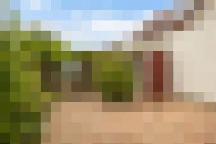 drs. S. van Tuinenleane 30 Dokkum thumbnail 31