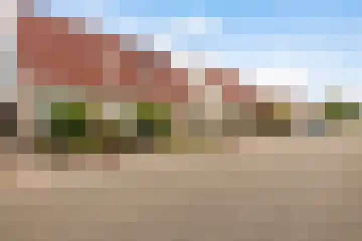 drs. S. van Tuinenleane 30 Dokkum thumbnail 4