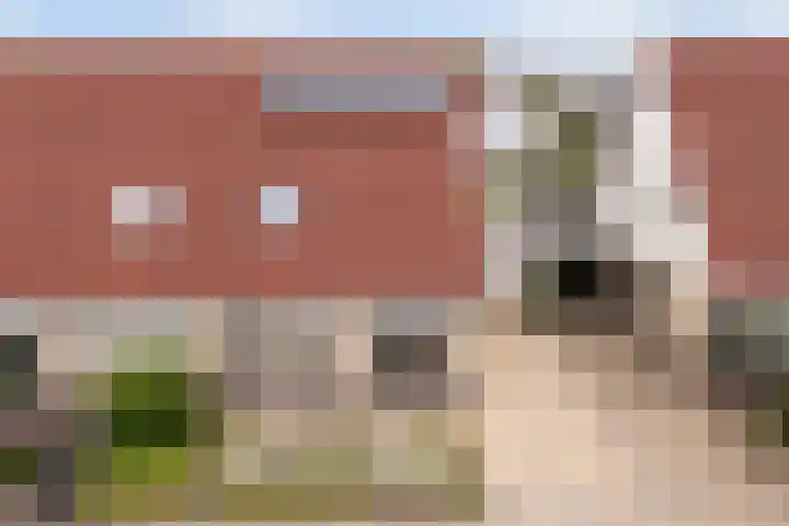 drs. S. van Tuinenleane 30 Dokkum thumbnail 52