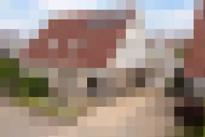drs. S. van Tuinenleane 30 Dokkum thumbnail 53