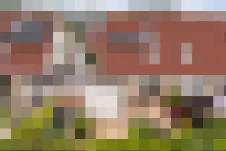 drs. S. van Tuinenleane 30 Dokkum thumbnail 55