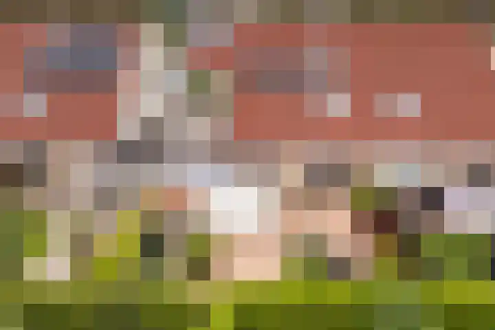 drs. S. van Tuinenleane 30 Dokkum thumbnail 56