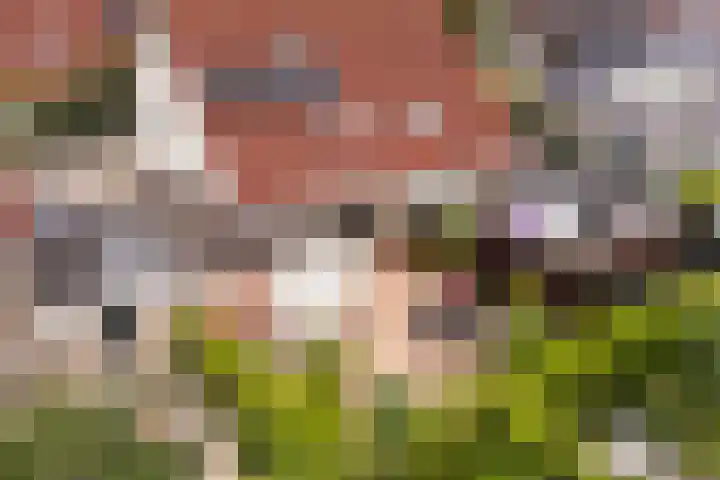 drs. S. van Tuinenleane 30 Dokkum thumbnail 57
