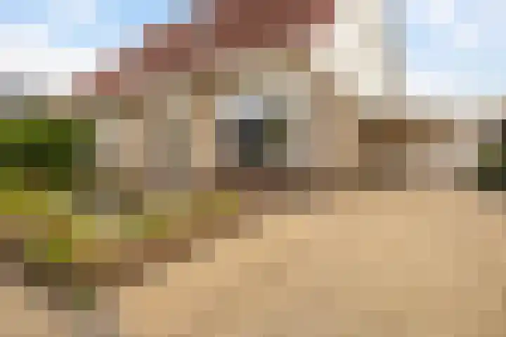 drs. S. van Tuinenleane 30 Dokkum thumbnail 6